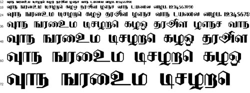 DenukaPC Tamil Font