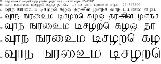 Pravi Tamil Font