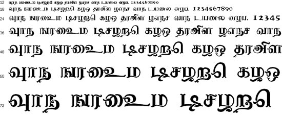 Nagananthini Tamil Font