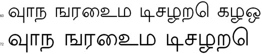 New Kannan Tamil Font