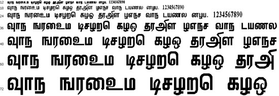 Viththi Tamil Font