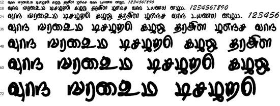 Thurikai Tamil Font