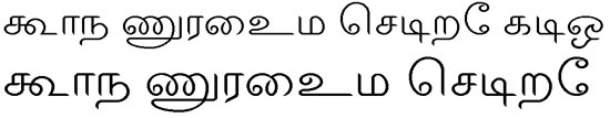 ELCOT Salem Tamil Font