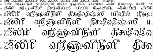 Tam Shakti 12 Tamil Font