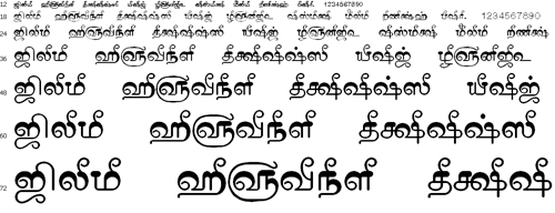 Tam Shakti 13 Tamil Font