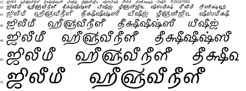 Tam Shakti 15 Tamil Font