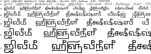 Tam Shakti 20 Tamil Font