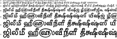Tam Nambi Tamil Font