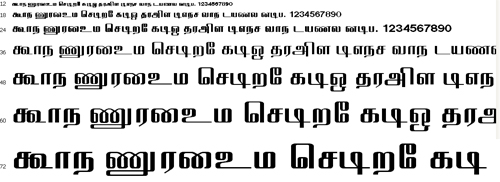 Elcot Thanjavur Tamil Font