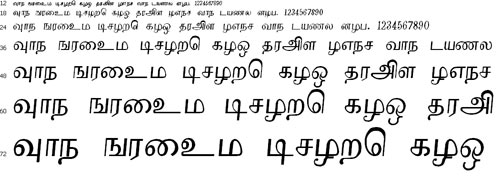 Renuka Tamil Font