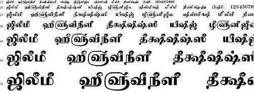 Tam Shakti 11 Tamil Font