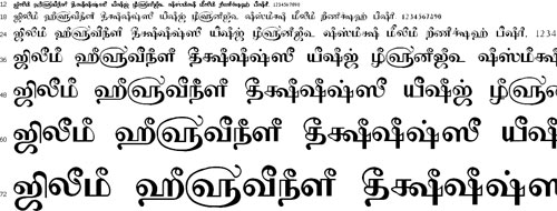 Tam Shakti 28 Tamil Font