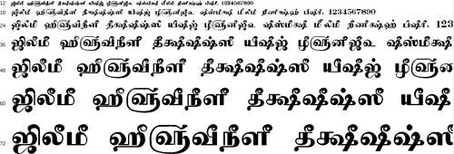 Tam Shakti 39 Tamil Font