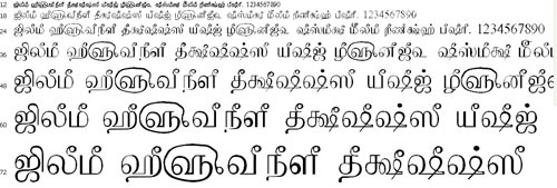 TAMu Kalyani Tamil Font